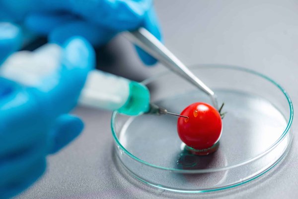 Can You Increase the Luggage Capacity of a Chevrolet Camaro with a Rear Seat Delete Kit?